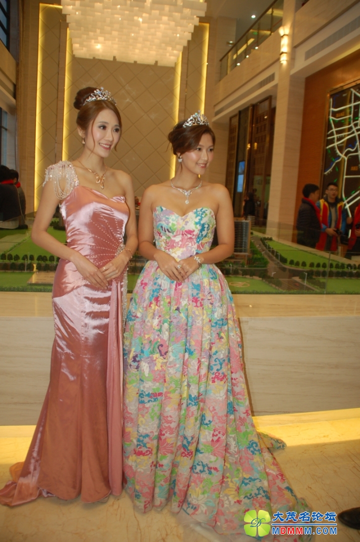 DSC_6654.jpg