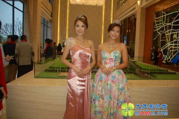 DSC_6656.jpg