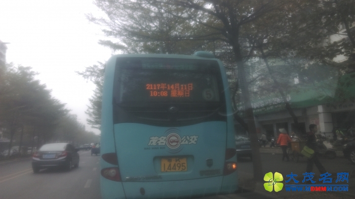 IMAG1649.jpg