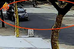 -406bcd8cb32946fe.gif