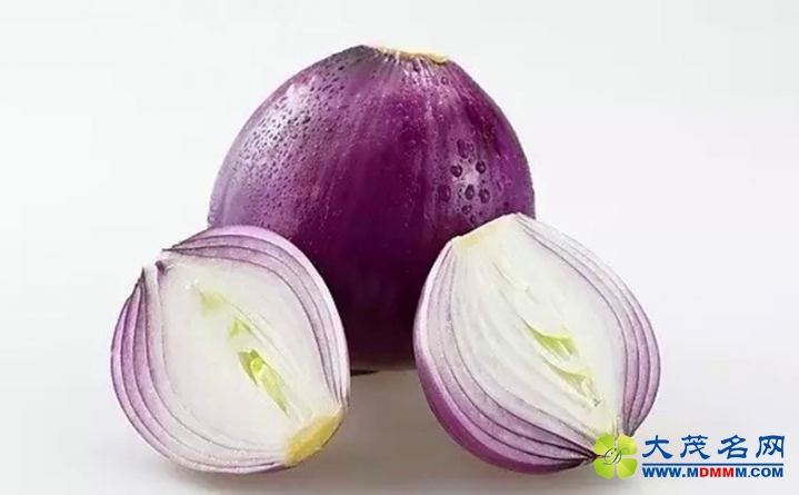 231.webp.jpg