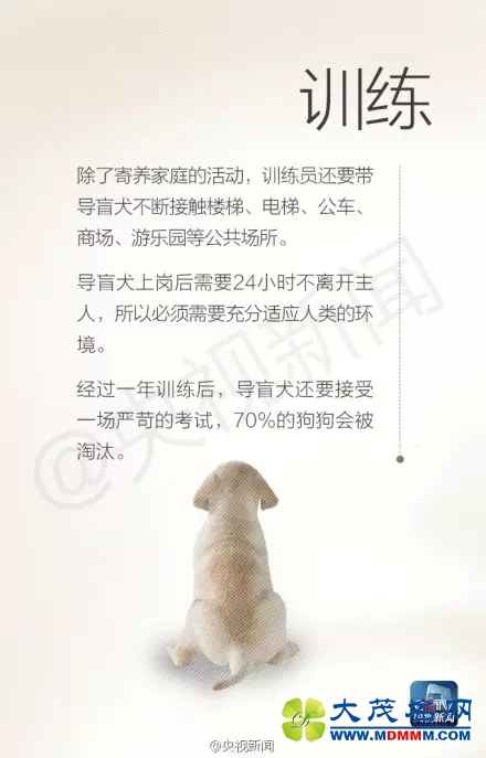 640.webp (10).jpg