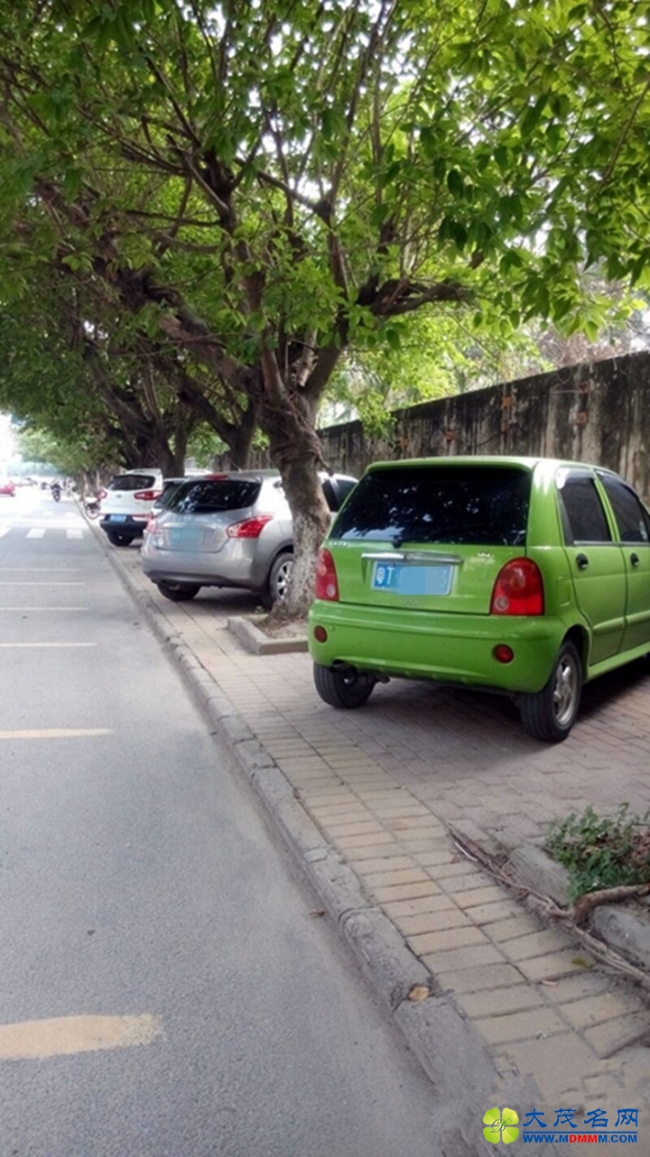 201.jpg