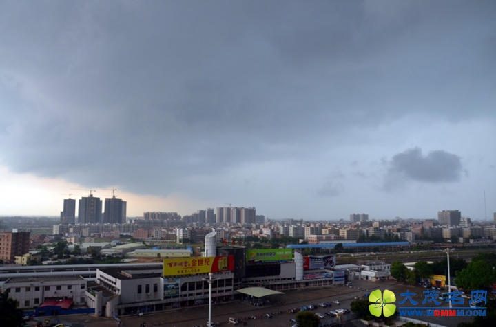 DSC_3647_.jpg