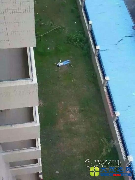 101.jpg