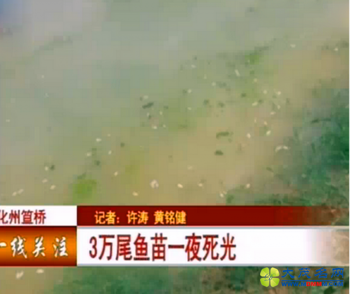 QQͼƬ20150604115517.png