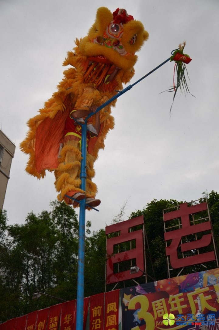 DSC_9239.jpg