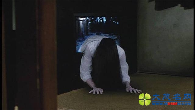 ձΪʲôϲ