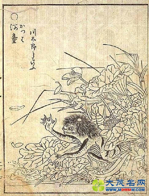 ձΪʲôϲ