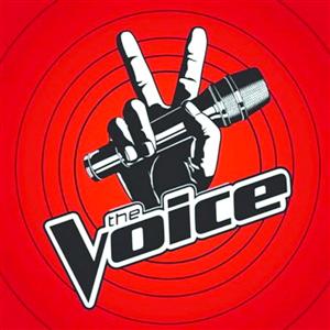 “The Voice”ģʽԭ⵽