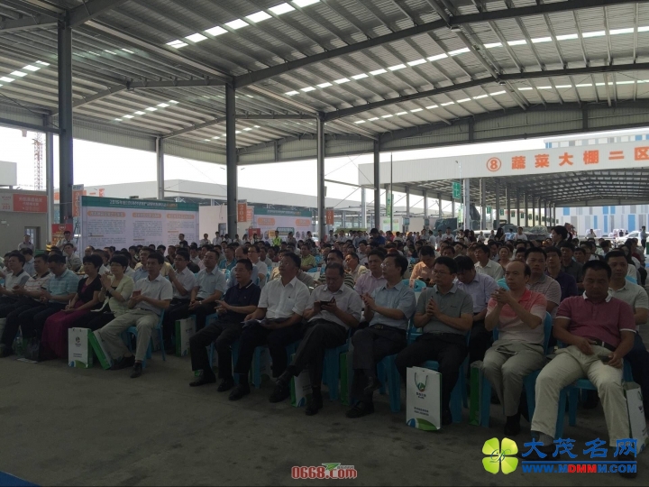 102953ojvkmbuk2vw1odoy.jpg