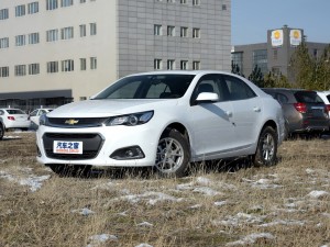 ͨѩ  2016 2.0L Զʰ
