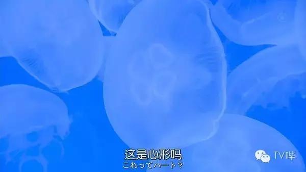 ʳˣ޺硶Ů
