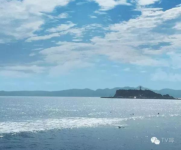 ʳˣ޺硶Ů