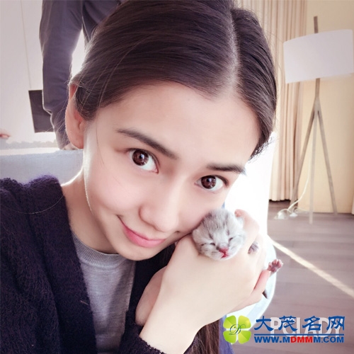 Angelababy