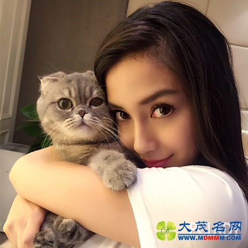 Angelababy