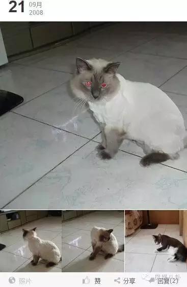 ֶҽأô׷Άģ