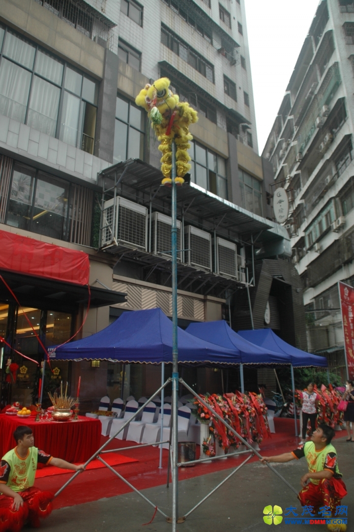 DSC_3835.jpg