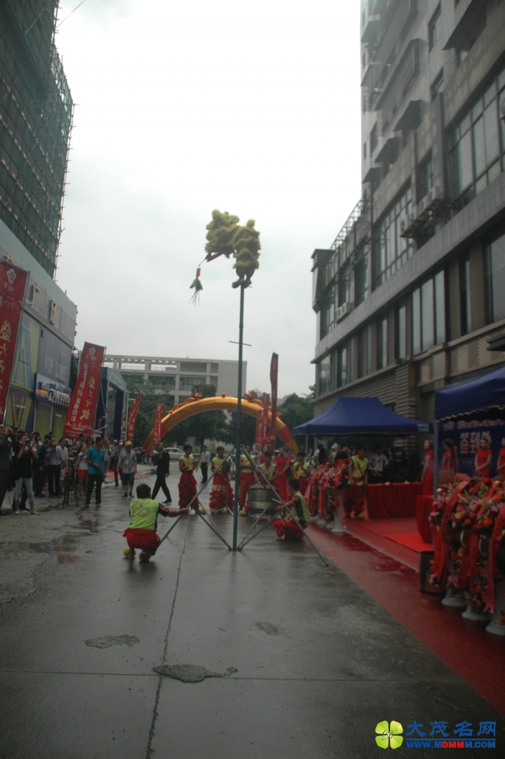 DSC_3837.jpg