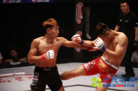 ROAD FC ־ʧɢֵܣ