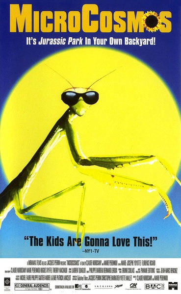 ¼ƬʦſˡļڵƱ30