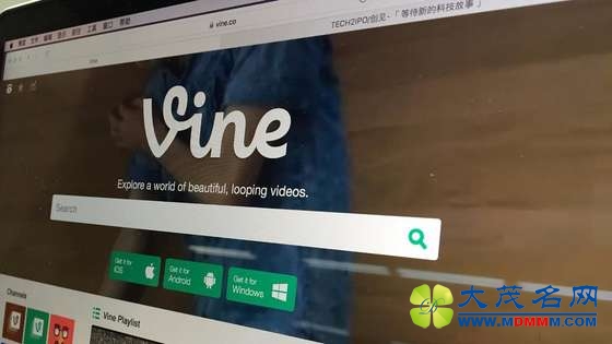 vine.JPG