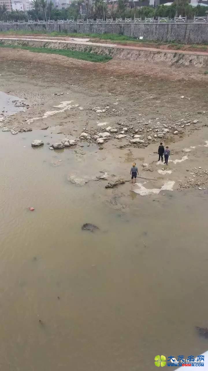 14826757680392301.jpeg