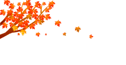 1.gif