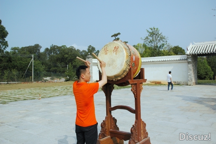 DSC_2993.jpg