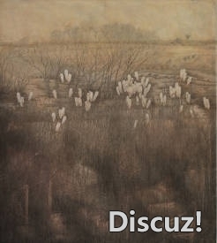 141421a75akp5dhzahap0h.jpg