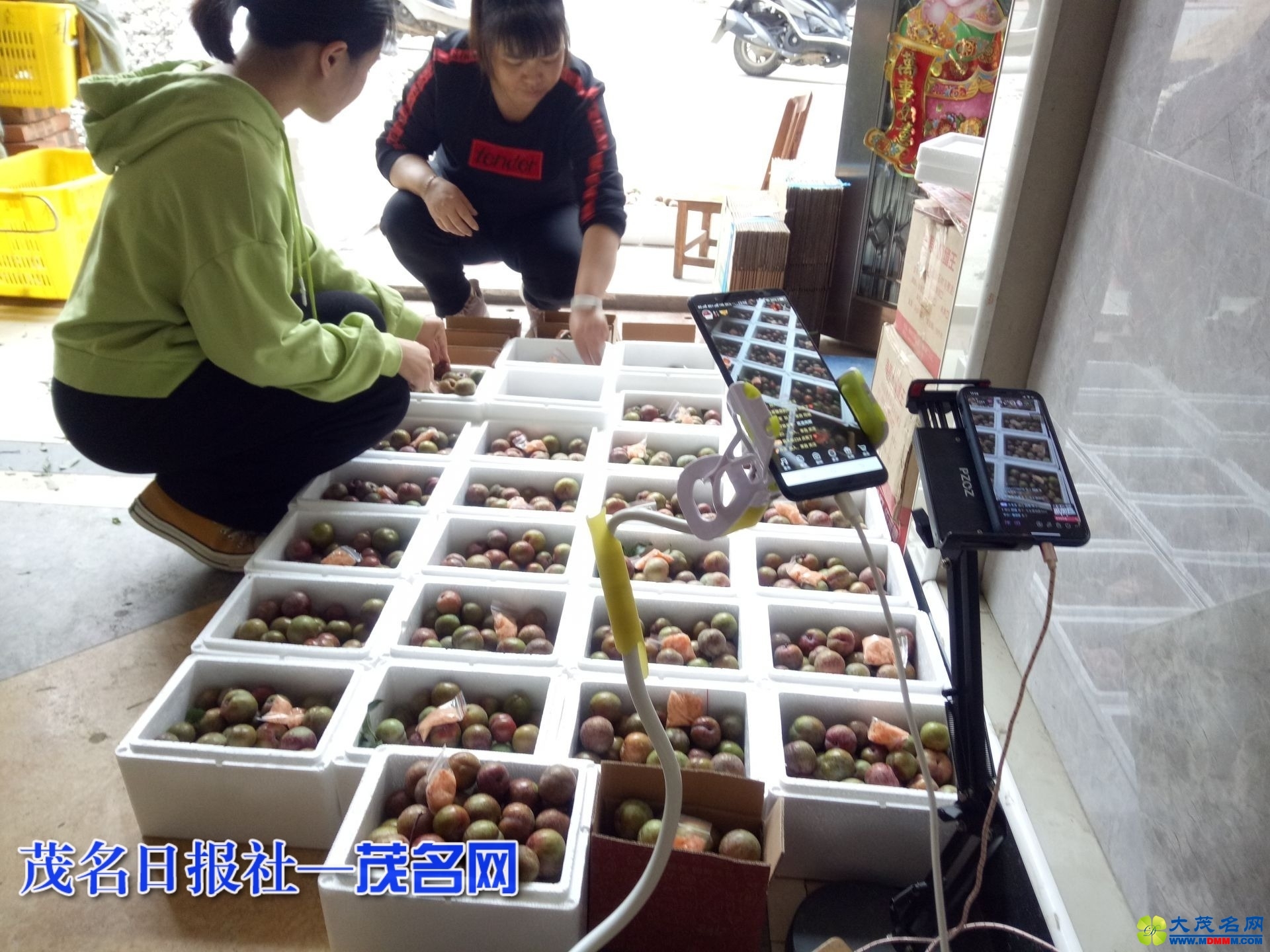 6252527caa4c2959e6c40c632198fca1.jpeg