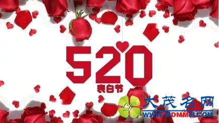 2.webp.jpg